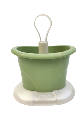 Immagine di TULIPANO - SCOLAPOSATE / Madreperla-Verde pall. scuro